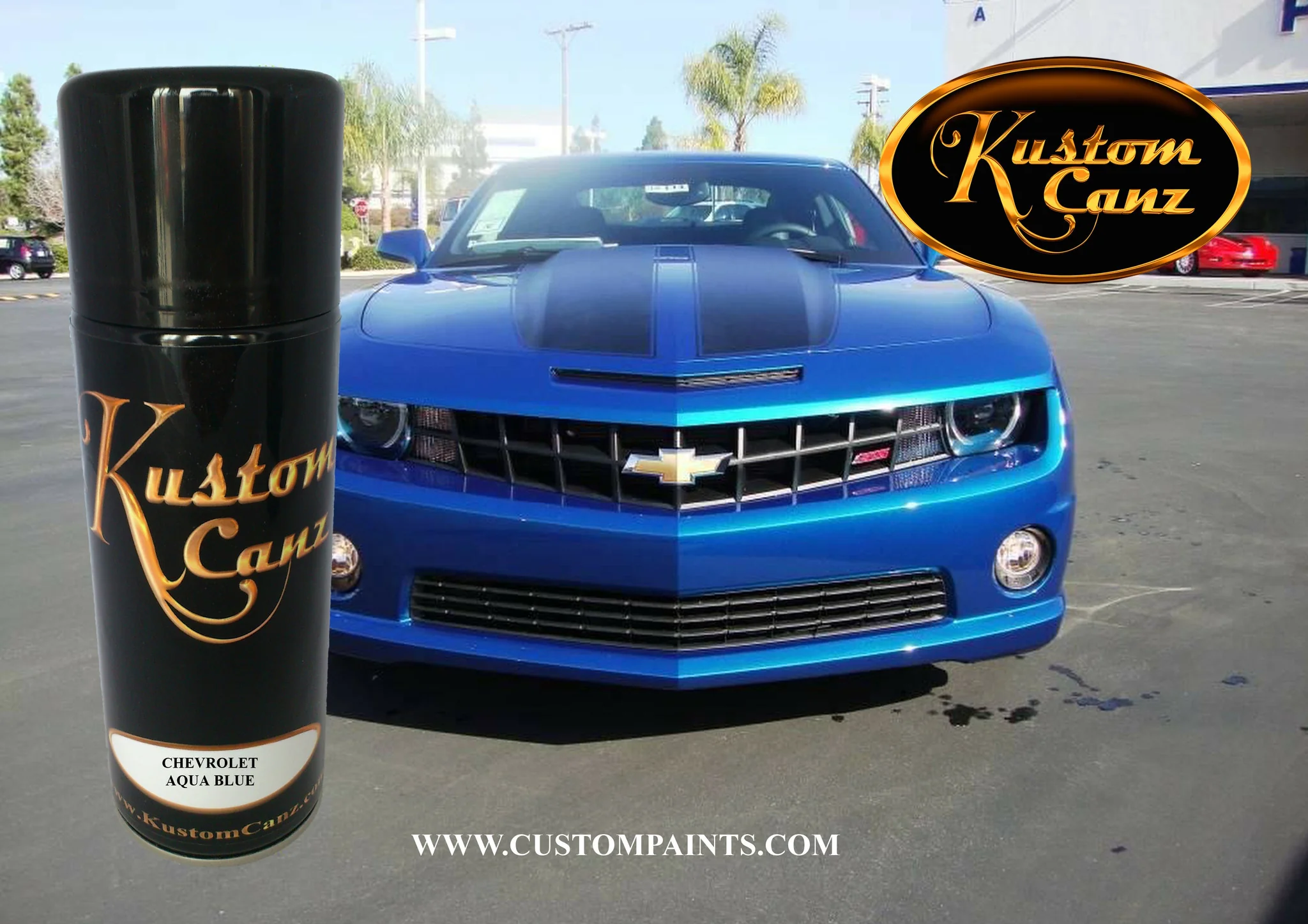 Chevrolet Aerosol Can Colours - Image 5